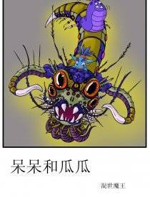 呆呆瓜瓜漫画版图片海报