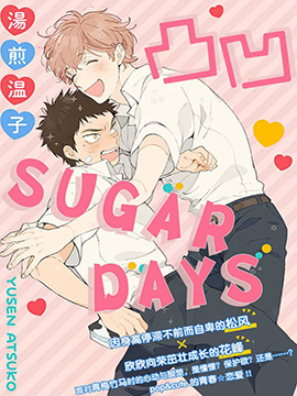 凸凹SUGAR DAYS海报