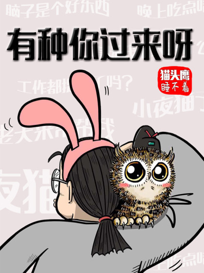 猫头鹰睡不着有种你过来呀海报