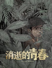 消逝的青春庄峰梁薇海报